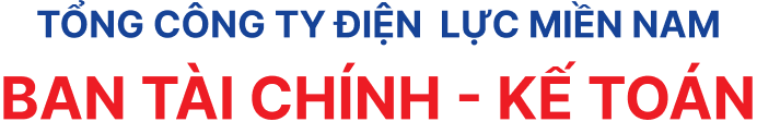 TỔNG CÔNG TY ĐIỆN LỰC MIỀN NAM